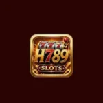 H789 Game