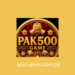 PAK500 Game
