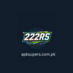 222RS Game