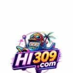 HI 309 Game